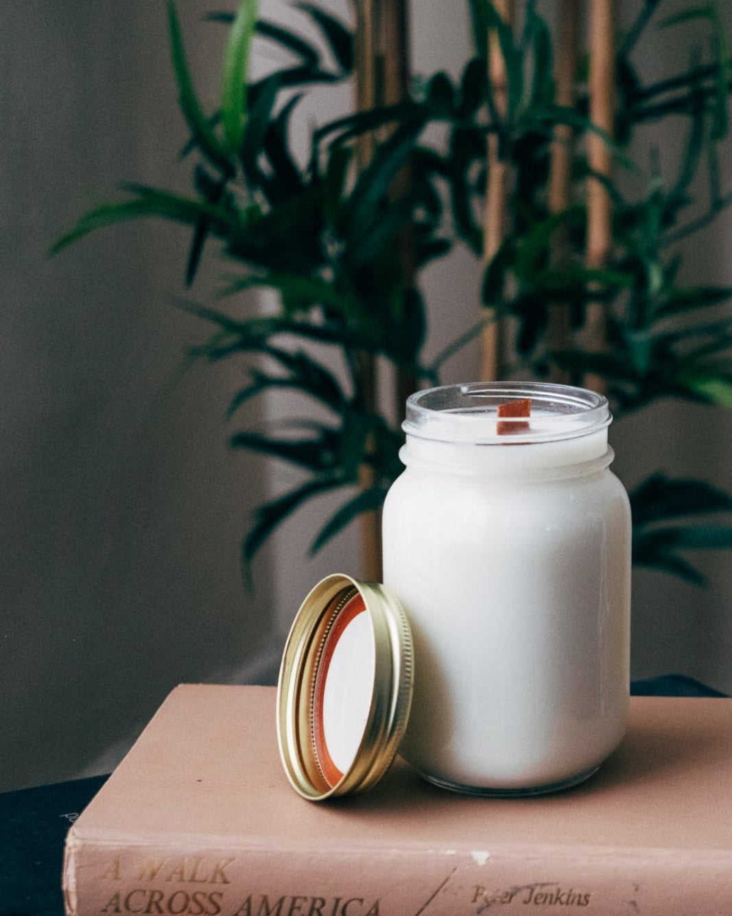 White candle in a glass jar on top of books with a plant in the background